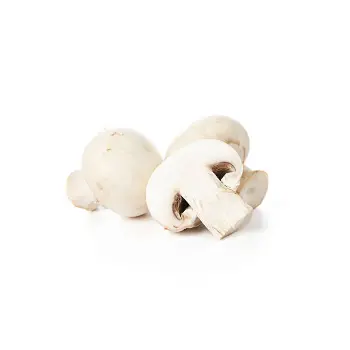 mushroom (4)-9417309-86570.webp